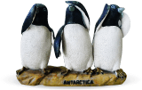 マゼランペンギン ペンギンライブラリー ホシザキ株式会社